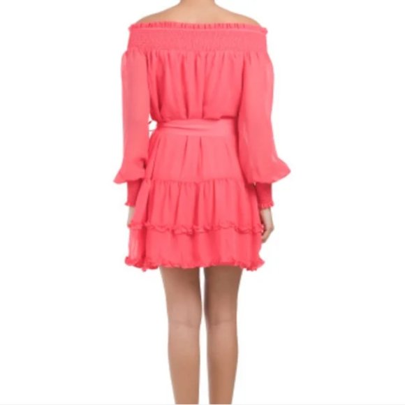 BCBGeneration Barbie Pink Ruffle Dress  size 14 - Picture 2 of 4